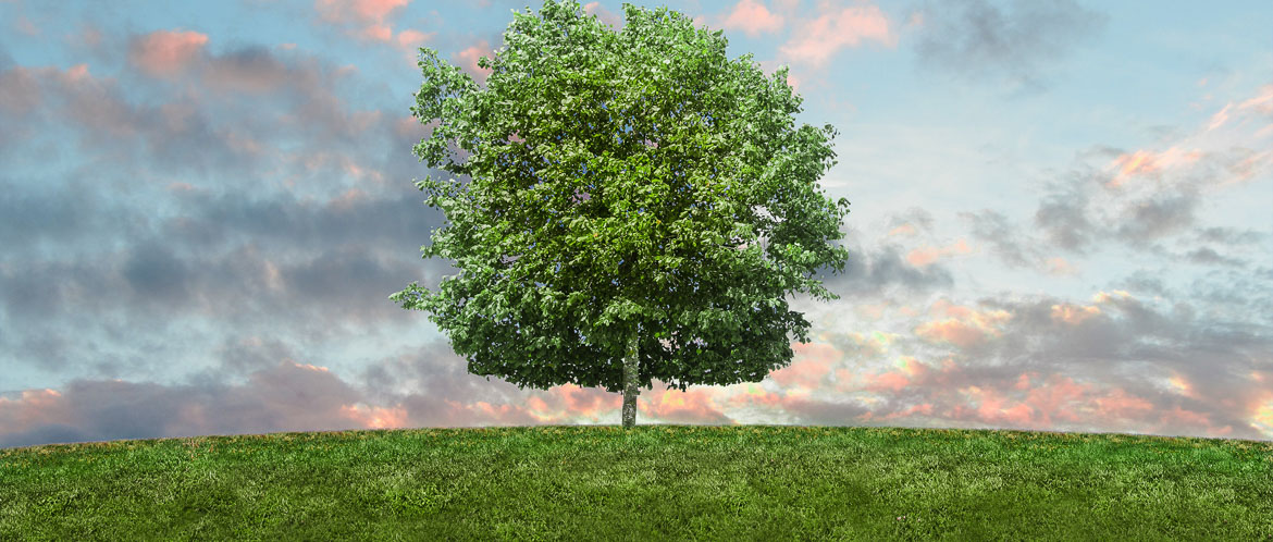 Green Beauty Routine - Eco-Friendly Tips